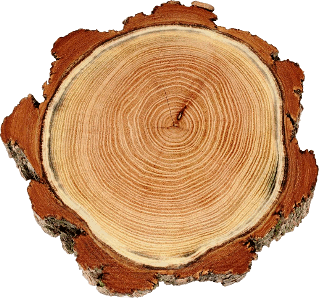 Akátové dřevo